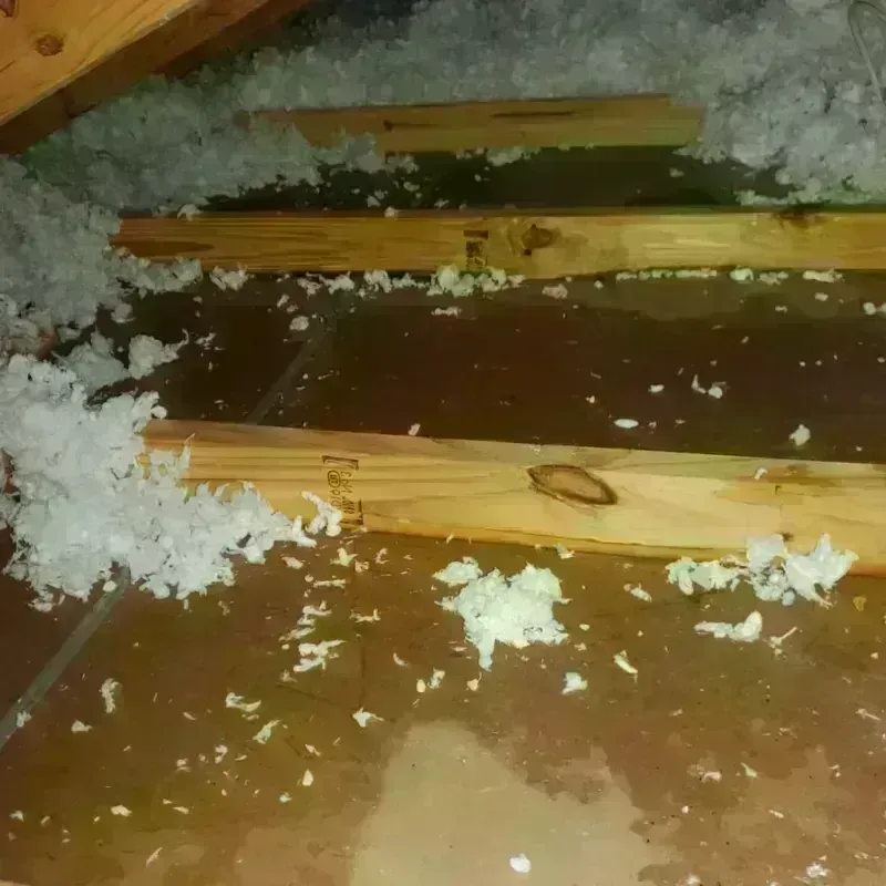 Attic Water Damage in Holland, NY